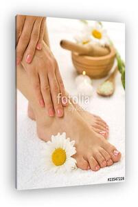 Herbal Spa (vászonkép)