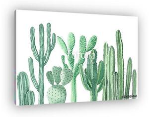 Watercolor Cactus and Succulents (vászonkép)