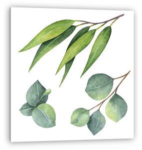 Watercolor hand painted set with eucalyptus leaves and branches. (vászonkép)