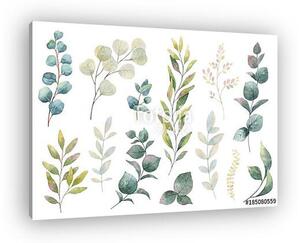 Hand drawn vector watercolor set of herbs, wildflowers and spice (vászonkép)