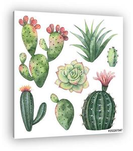 Watercolor vector set of cacti and succulent plants isolated on (vászonkép)