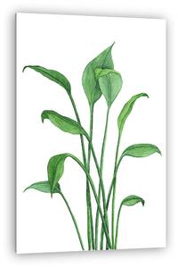 Home plant drawing (vászonkép)