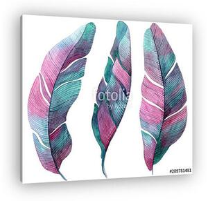 Watercolor illustration with palm pink and lilac leaves. (vászonkép)