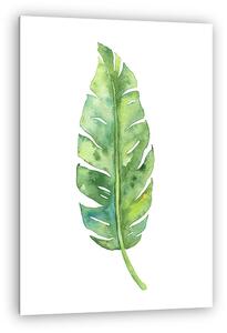 Tropical banana leaf illustration (vászonkép)