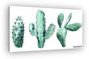 Watercolor set of cactus isolated illustration on a white backg (vászonkép)