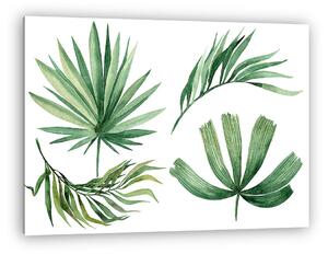 Watercolor illustration of leaves, isolated on white background (vászonkép)