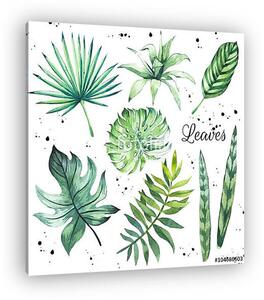 Illustration with tropical leaves. Watercolor set of green leave (vászonkép)