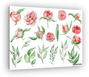 Watercolor red peonies flowers and leaves set Hand drawn illustr (vászonkép)