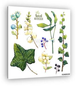Watercolor illustration with branches, leaves and berries. (vászonkép)