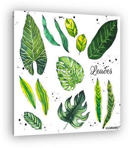 Illustration with tropical leaves. Watercolor set of green leave (vászonkép)