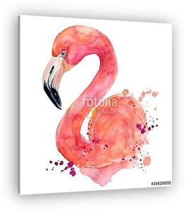 Watercolor pink flamingo (vászonkép)