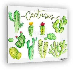 Watercolor cactus set (vászonkép)
