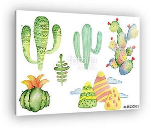 Watercolor tropical cactus hand drawn illustration set isolated (vászonkép)