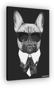 Hand drawn fashion Illustration of French Bulldog. Vector isolat (vászonkép)