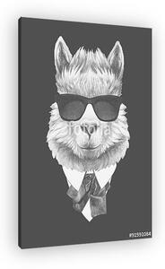 Portrait of Lama in suit. Hand drawn illustration. (vászonkép)
