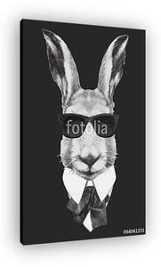 Hand drawn fashion Illustration of rabbit. Vector isolated eleme (vászonkép)