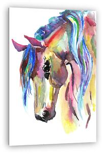 Horse head. Color watercolor illustration. Hand drawn (vászonkép)