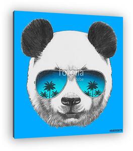 Hand drawn portrait of Panda with mirror sunglasses. Vector isol (vászonkép)