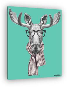 Portrait of Moose with glasses and scarf. Hand drawn illustratio (vászonkép)