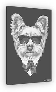 Portrait of Yorkshire Terrier dog in suit. Hand drawn illustrati (vászonkép)