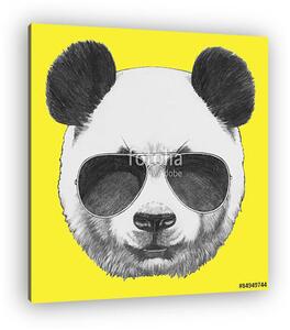 Hand drawn portrait of Panda with sunglasses. Vector isolated el (vászonkép)
