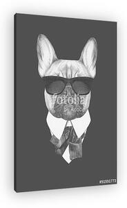 Portrait of French Bulldog in suit. Hand drawn illustration. (vászonkép)