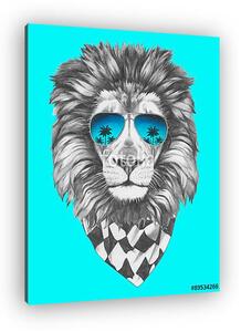 Hand drawn portrait of Lion with sunglasses and scarf. Vector is (vászonkép)