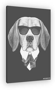 Portrait of Beagle dog in suit. Hand drawn illustration. (vászonkép)