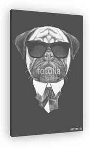Portrait of Pug Dog in suit. Hand drawn illustration. (vászonkép)