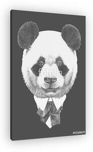 Portrait of Panda in suit. Hand drawn illustration. (vászonkép)