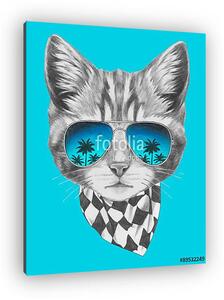 Hand drawn portrait of Cat with mirror sunglasses and scarf. Vec (vászonkép)