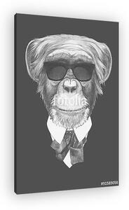 Portrait of Monkey in suit. Hand drawn illustration. (vászonkép)