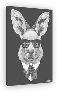 Portrait of Kangaroo in suit. Hand drawn illustration. (vászonkép)