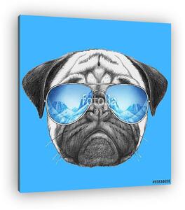 Portrait of Pug Dog with mirror sunglasses. Hand drawn illustrat (vászonkép)
