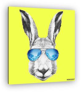 Portrait of Hare with mirror sunglasses and scarf. Hand drawn il (vászonkép)