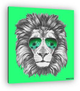 Hand drawn portrait of Lion with sunglasses. Vector isolated ele (vászonkép)