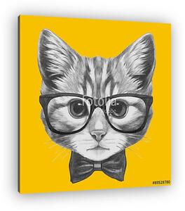 Hand drawn portrait of Cat with glasses and bow tie. Vector isol (vászonkép)