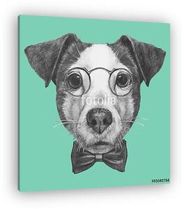 Hand drawn portrait of Jack Russell with glasses and bow tie. Ve (vászonkép)