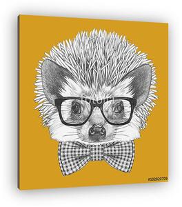 Portrait of Hedgehog with glasses and bow tie. Hand drawn illust (vászonkép)