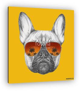 Hand drawn portrait of French Bulldog with mirror sunglasses. Ve (vászonkép)