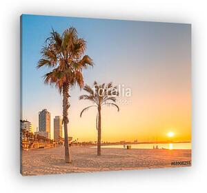 Barceloneta Beach in Barcelona at sunrise (vászonkép)