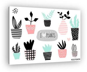 House Plants Collection (vászonkép)