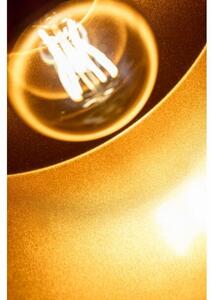 Lámpa Mennyezeti lámpatest GOA ,3512, AC220-240V, 50/60Hz, 1*E27, IP20, átmérő 32 CM, egy, fekete/arany