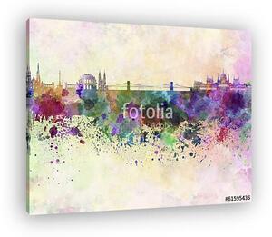 Budapest skyline in watercolor background (vászonkép)