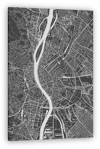 Budapest city plan, detailed vector map (vászonkép)