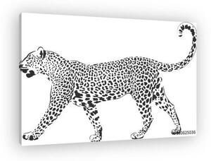 Leopard in black interpretation 2 (vászonkép)