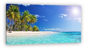 Palm Beach In Tropical Paradise - Guadalupe Island - Caribbean (vászonkép)
