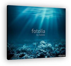 Sea deep or ocean underwater with coral reef as a background for (vászonkép)