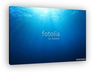 Underwater blue background in sea (vászonkép)