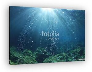 Underwater ocean background with air bubbles in water (vászonkép)